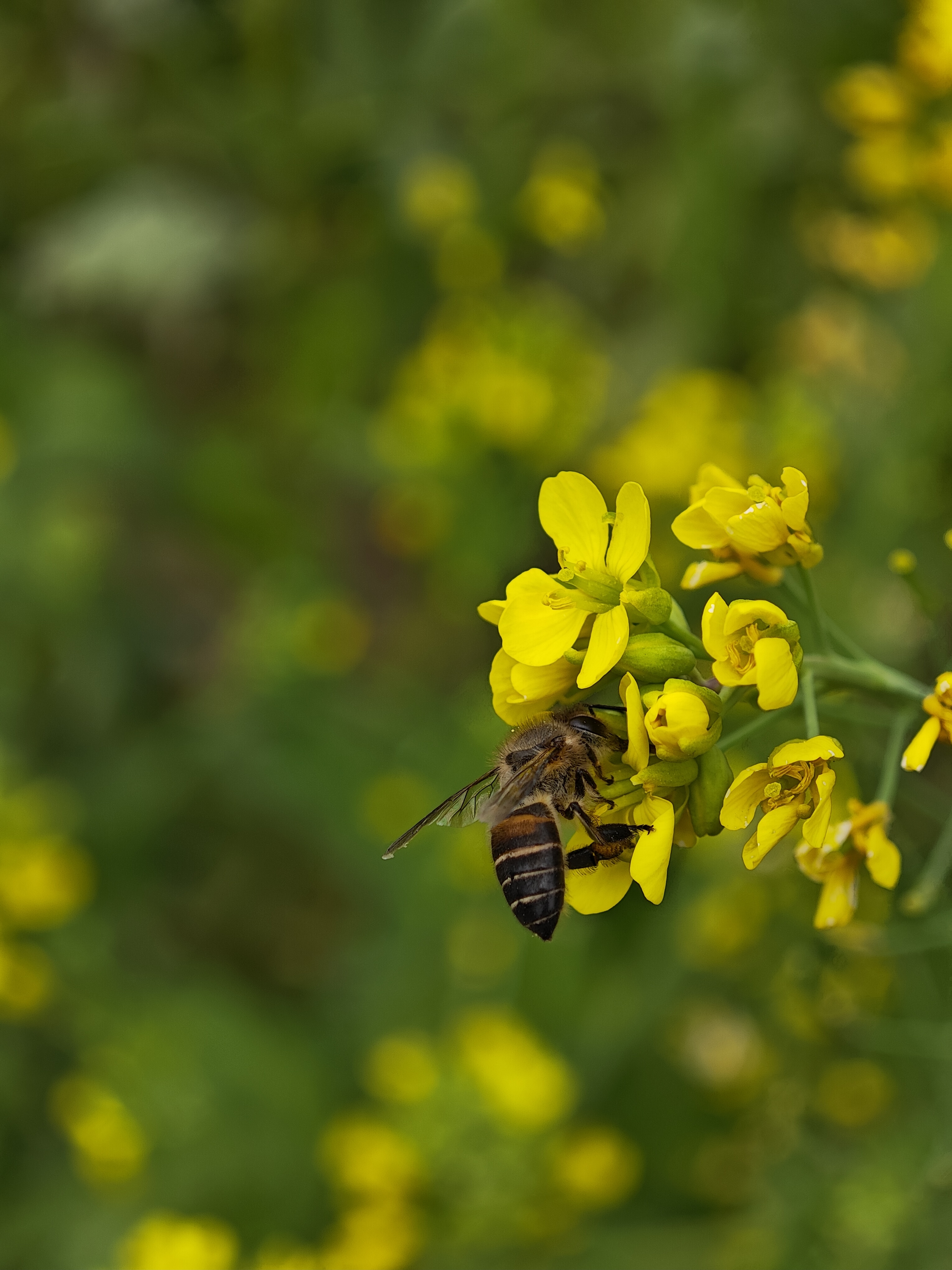 特殊的3.8節(jié)——和山村的春天相約