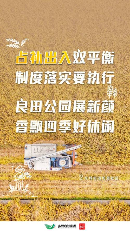 大地資源第二頁中文高清版