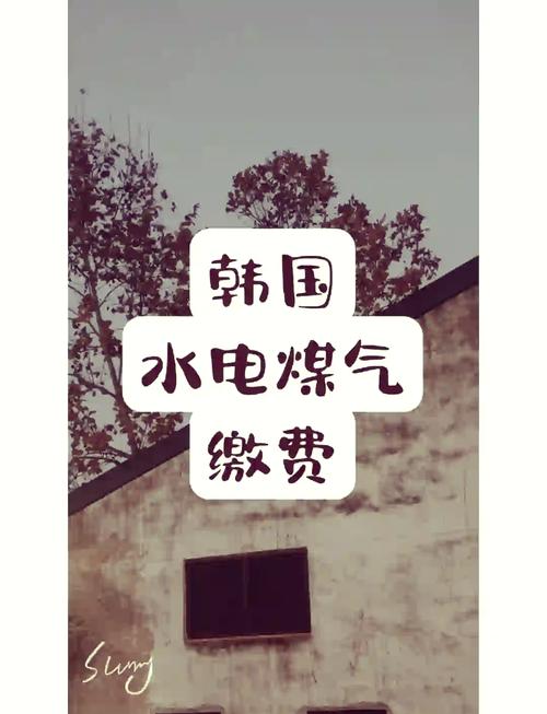 好看的韓國三色電費(fèi)