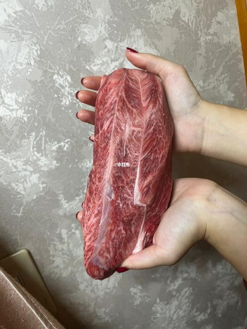 大肉大捧一進一出的視頻