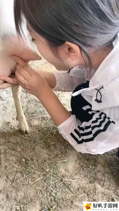 人玩山羊水門(mén)的視頻