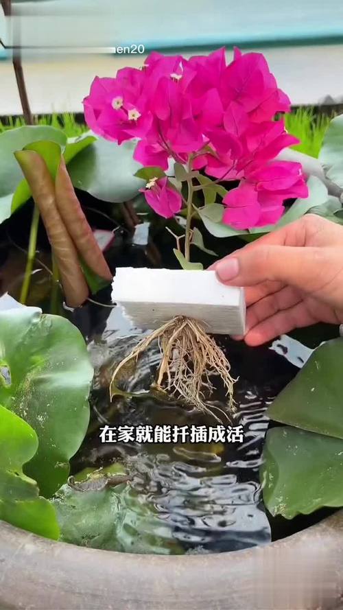 扦**b有什么好處視頻